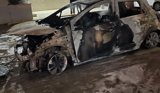 Elektrikli Otomobil Alev Alev Yandı