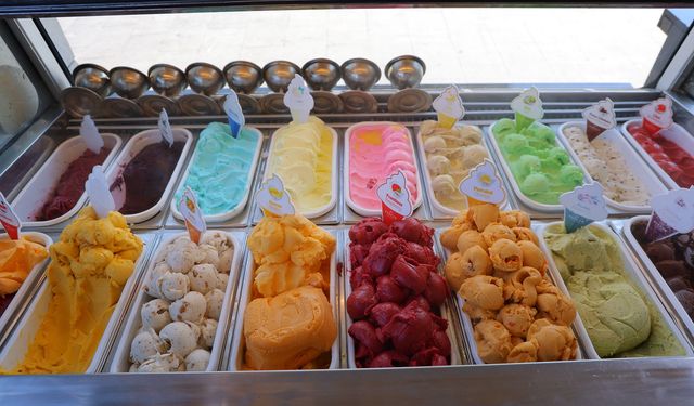 Kahramanmaraş'ın Dondurma Markası Alpedo Hakkındaki "Ölümcül Bakteri" İddiası Asılsız Çıktı