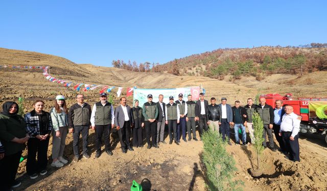 Orman Yangınlarında Kaybedilen Ağaçların Yerine Yeni Fidanlar Dikildi