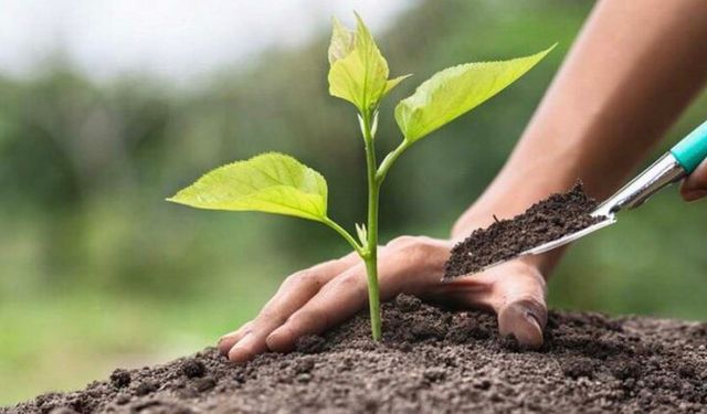 Elbistan'da Fidan Dağıtımıyla Doğaya Destek