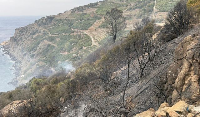 Antalya'da muz bahçelerinde çıkan yangın söndürüldü