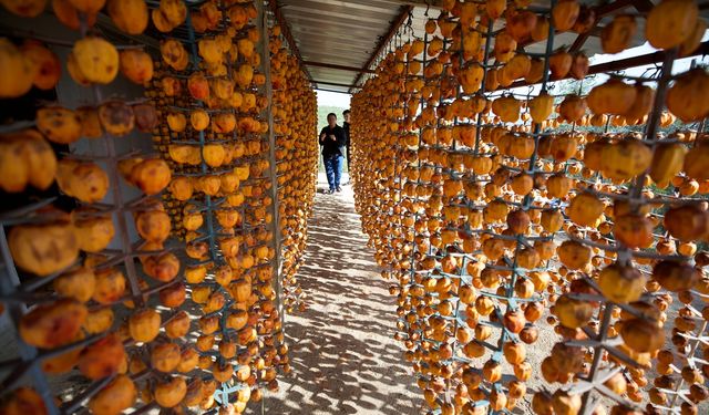 Osmaniyeli çift, Trabzon hurması kurusunu Türkiye'nin çok sayıda iline gönderiyor