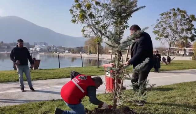 Elbistan’da Ağaçlandırma Seferberliği Devam Ediyor