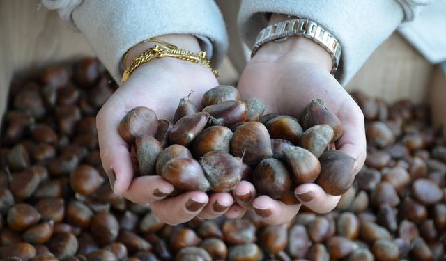 Kış Aylarının Vazgeçilmez Lezzeti: Kestane