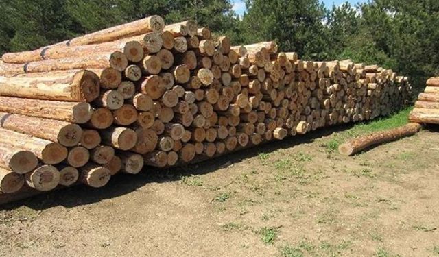 ORMAN EMVALİ İSTİFLEME HİZMETİ ALINACAKTIR