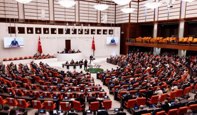 Meclis'ten geçen 12 maddelik düzenlemede neler var?
