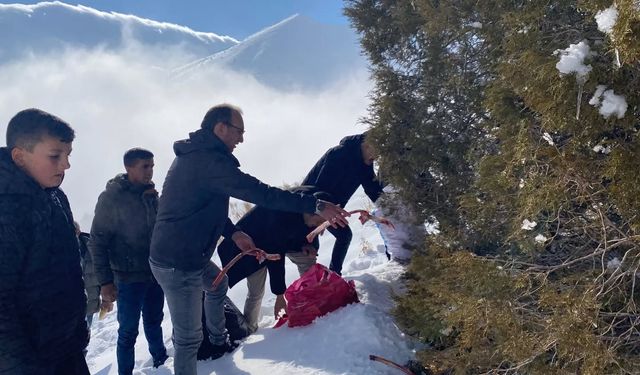 Afşin’de Yaban Hayatı İçin Yemleme ve Kuduz Aşısı Çalışması Yapıldı