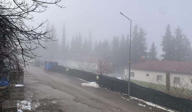Aladağ ilçesinde sis etkili oldu
