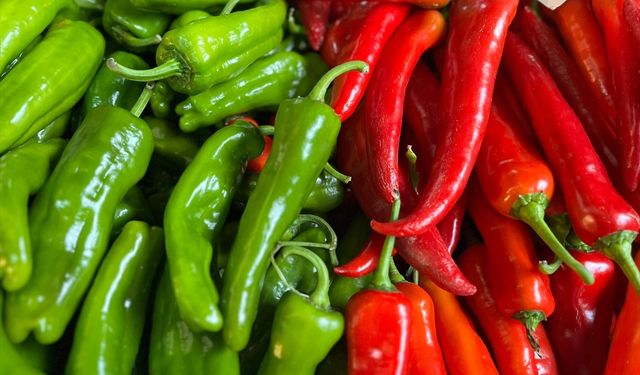 Batı Akdeniz'in ihracat şampiyonu biber oldu