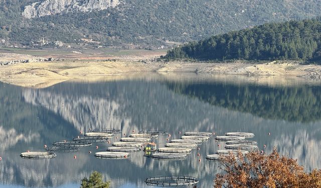 Burdur'daki Karacaören Barajı'nda üretilen alabalık ve somon yurt dışından alıcı buluyor