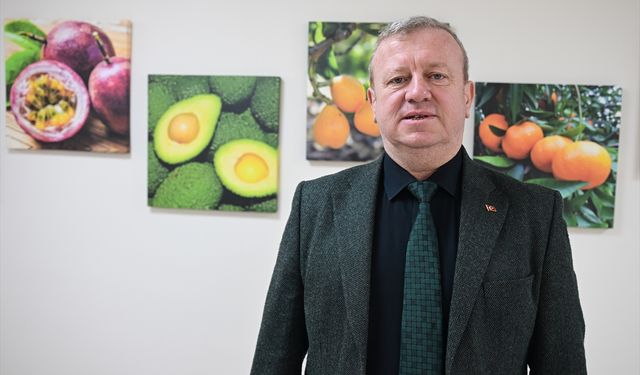 Tescillenen 8 tropikal meyve çeşidi Milli Çeşit Listesi'ne girdi
