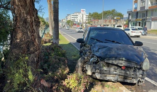Antalya'da otomobil refüjdeki ağaca çarptı: 2 yaralı