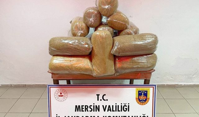 Mersin'de 100 kilo kaçak tütün ele geçirildi, 1 kişi gözaltına alındı