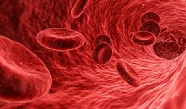 Kan Sulandırıcı Hakkında En Çok Yöneltilen 6 Soru