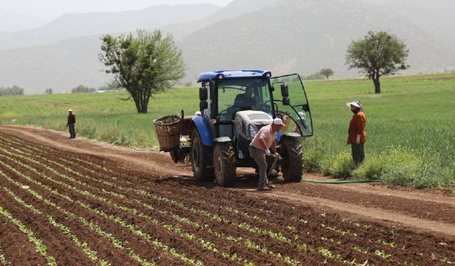 Tarım sayımının yüzde 90'ı tamamlandı
