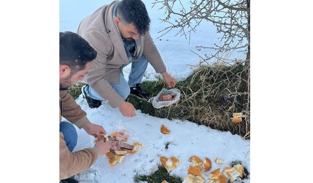Afşin Ülkü Ocakları’ndan Sokak ve Yaban Hayvanlarına Anlamlı Destek