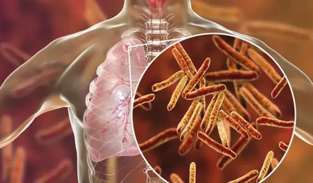 Kahramanmaraş İl Sağlık Müdürlüğünden Verem Haftası Kapsamında Bilgilendirme