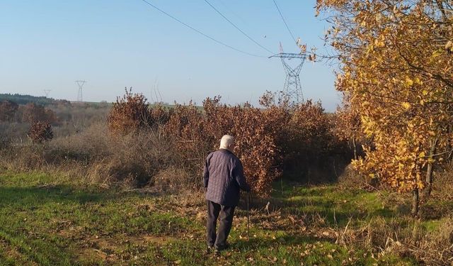 Yargıtay’dan kamulaştırma davasında emsal karar