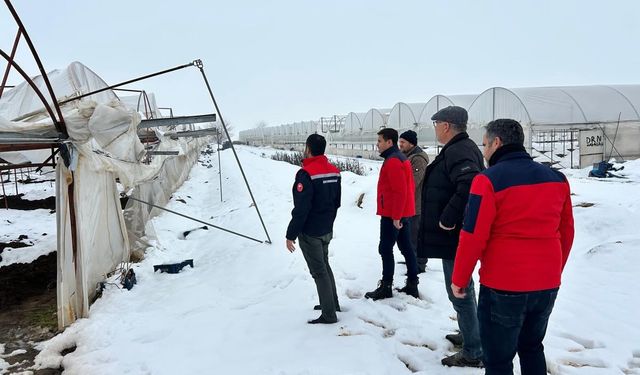 Yoğun Kar Yağışı Türkoğlu’nda Seralara Zarar Verdi