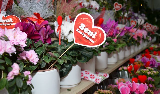 Afşin’de 14 Şubat Hareketliliği: Çiçekçilerde Yoğun Mesai