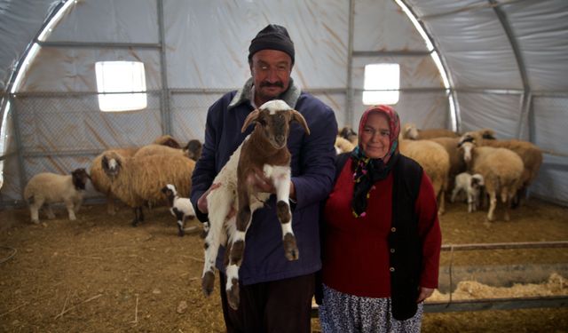 Depremde ahırı yıkılan küçükbaş hayvan yetiştiricisi, devlet desteğiyle üretimini sürdürüyor