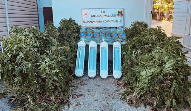 Antalya'da uyuşturucu operasyonunda 1 zanlı yakalandı