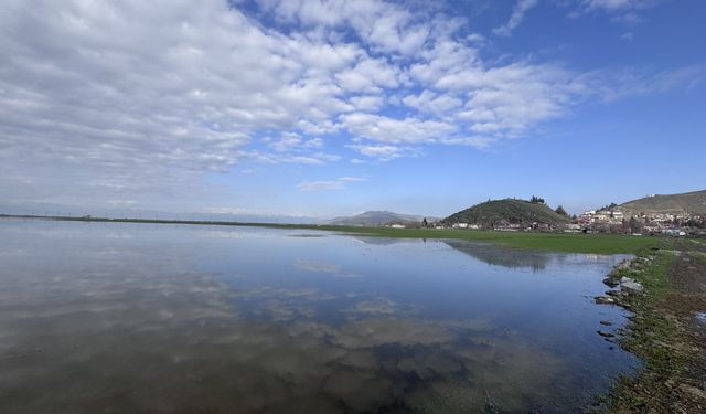 Kahramanmaraş'ta etkili olan yağışların ardından binlerce dönüm tarım arazisi su altında kaldı