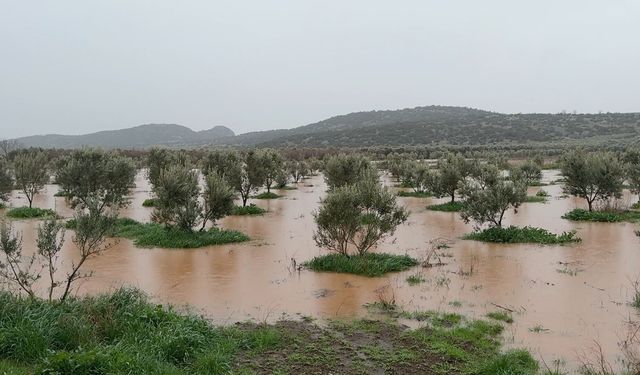 Osmaniye'de sağanak nedeniyle bazı evleri ve tarım arazilerini su bastı