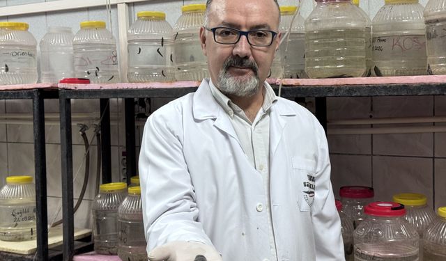 Tıbbi sülük yetiştiriciliğinde keçi kanının verimi artırdığı literatüre girdi