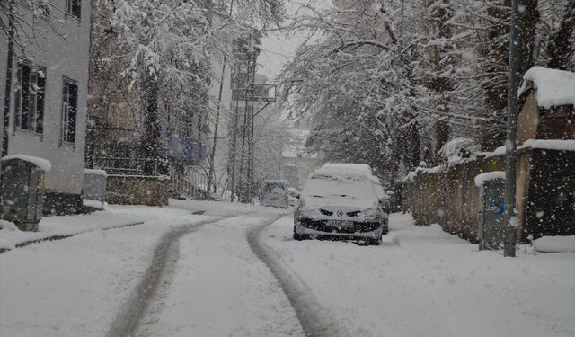 Van, Muş ve Hakkari'de kar nedeniyle 279 yerleşim yerine ulaşım sağlanamıyor