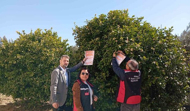 Kozan'da arıların korunmasına yönelik çalışma başlatıldı