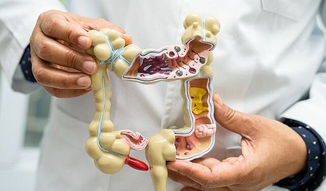 Mart Ayı Kolorektal Kanserine Karşı Farkındalık Ayı