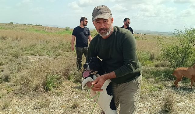 Adana'da 'Avcı Köpeği ve Irk Standartları Yarışması' yapıldı