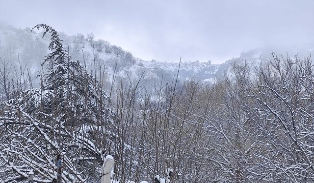 Beypazarı'nın yüksek kesimlerinde nisan karı etkili oldu