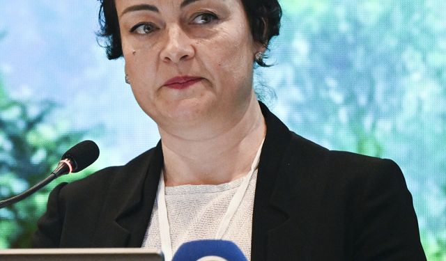 FSC Türkiye, orman ürünleri sektörünü Ankara'da bir araya getirdi