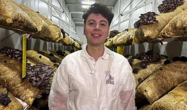 Genç avukat kurduğu mantar tesisiyle üretime katkı sağlıyor