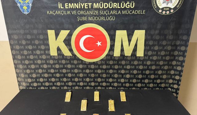 Hatay'da sırt çantasında 8 kilogram gümrük kaçağı altın ele geçirilen zanlı tutuklandı