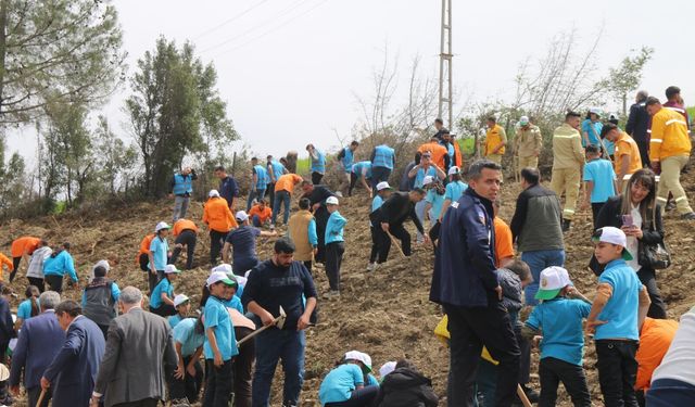 Kozan'da 1500 fidan toprakla buluşturuldu