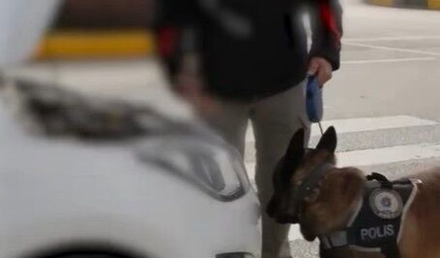 Isparta'da 1 haftalık narkotik operasyonlarında 4 şüpheli tutuklandı