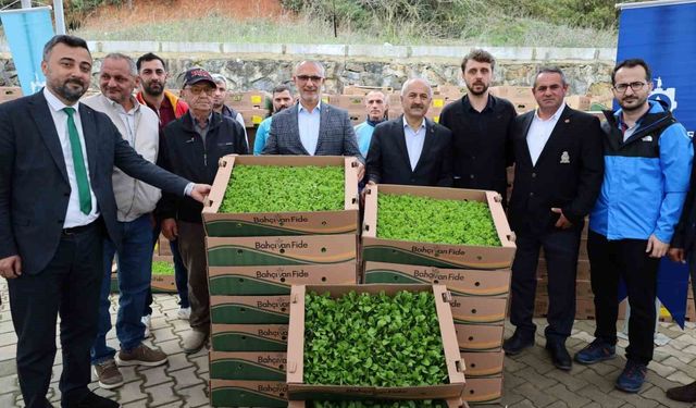 İşlenmeyen araziler üretime dönüyor: Çiftçilere yüzde 75 hibeli fide desteği