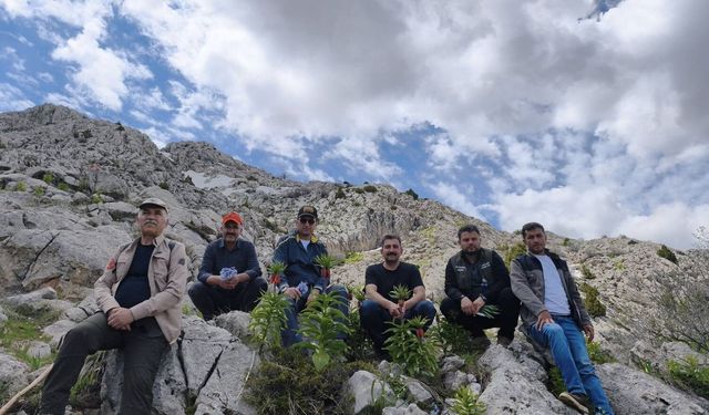 Afşin Avcılar ve Atıcılar Derneği’nden Doğa Yürüyüşü Etkinliği