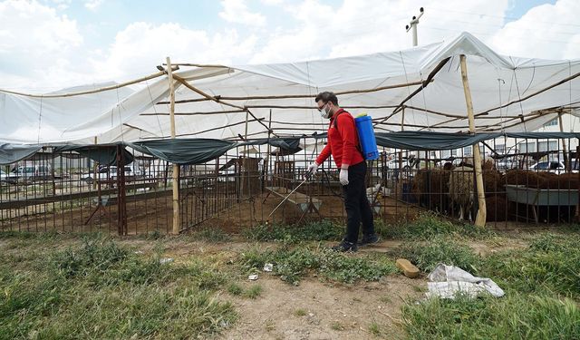 Büyükşehir’den Bayram Mesaisi; Temizlik ve İlaçlama Aralıksız Sürüyor