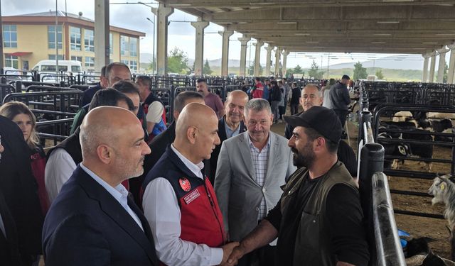 Canlı Hayvan Borsası’nda Bayram Öncesi Yoğun Ziyaret