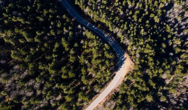 Adana'da ormanlık alanlara girişler yasaklandı