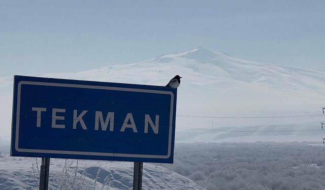 Erzurum’da Korkutan Sarsıntı: Tekman’da Deprem