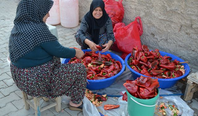 Afşin’de Kış Hazırlıkları Başladı! Salçalık Biber ve Domates Tezgâhları Şenlendirdi