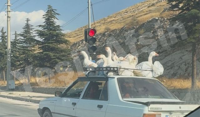Bu Görüntü Sosyal Medyada Gündem Oldu