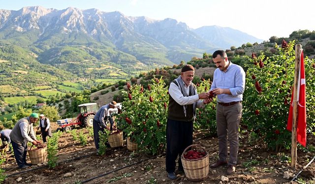 Kahramanmaraş’ta Sumak Bahçesi Projesi Başlıyor