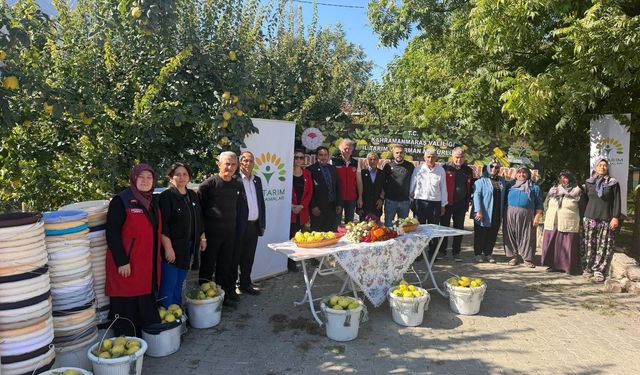 11 Ayva Üreticisine Hasat Desteği: 260 Ekipman Dağıtıldı