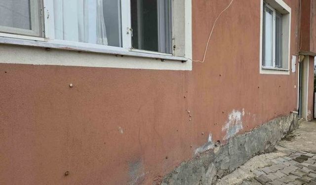 Depremden Sonra Ortaya Çıktı! Hatay’da Salyangoz İstilası Evleri ve Bahçeleri Sardı